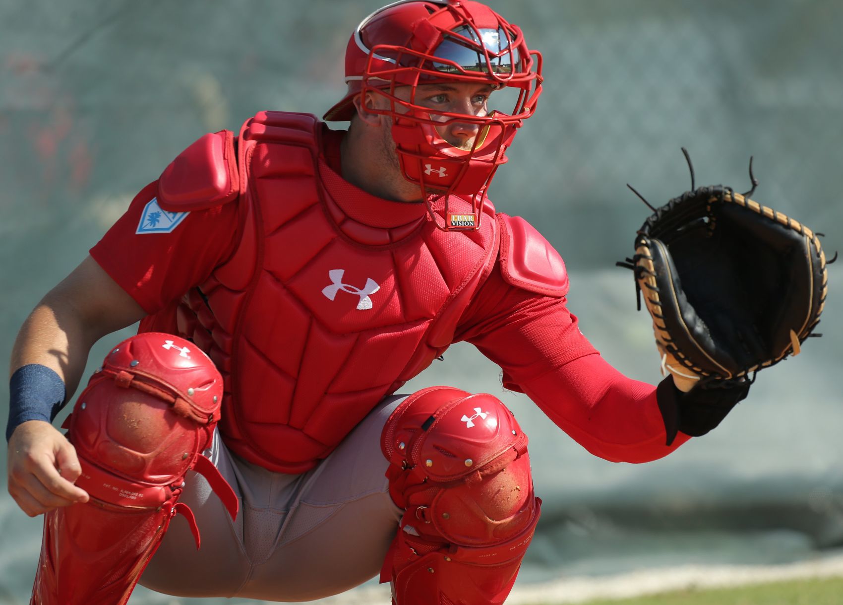 2019 Cardinals spring training